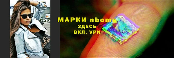 ПСИЛОЦИБИНОВЫЕ ГРИБЫ Гусев