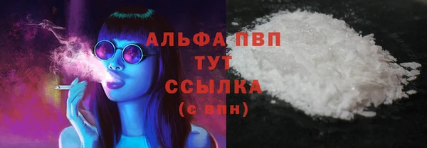 ПСИЛОЦИБИНОВЫЕ ГРИБЫ Гусев