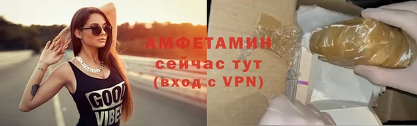 ПСИЛОЦИБИНОВЫЕ ГРИБЫ Гусев