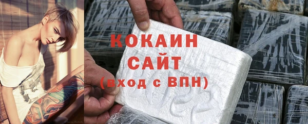 ПСИЛОЦИБИНОВЫЕ ГРИБЫ Гусев