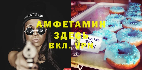 ПСИЛОЦИБИНОВЫЕ ГРИБЫ Гусев