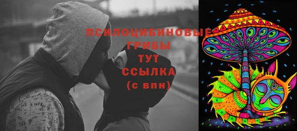 ПСИЛОЦИБИНОВЫЕ ГРИБЫ Гусев