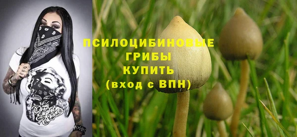 jwh Гусиноозёрск
