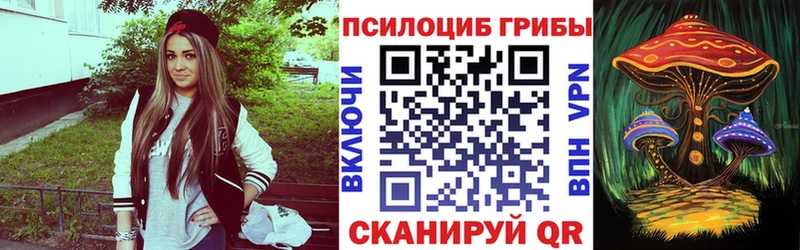 KRAKEN ссылки Москва Псилоцибиновые грибы мицелий